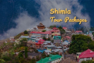 Shimla Tour Packages