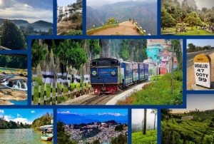 WJH - Ooty Honeymoon Packages